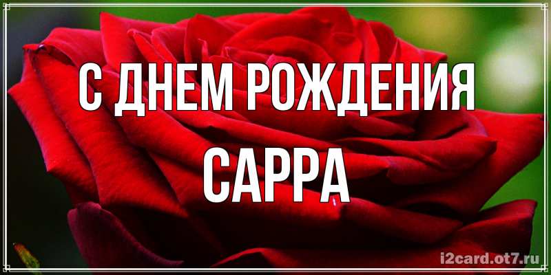 Картинка С днем рождения, Сарра