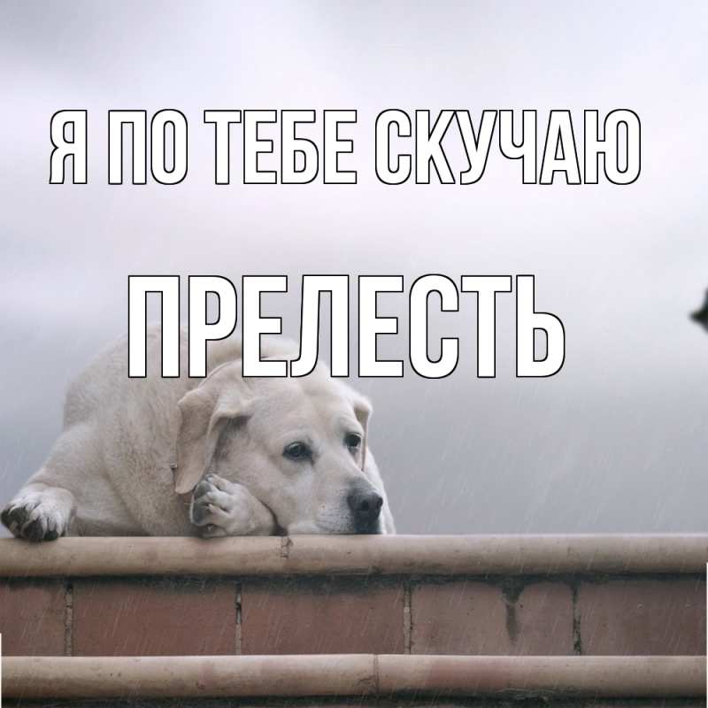 Открытка с именем, Пpелесть, Я по тебе скучаю
