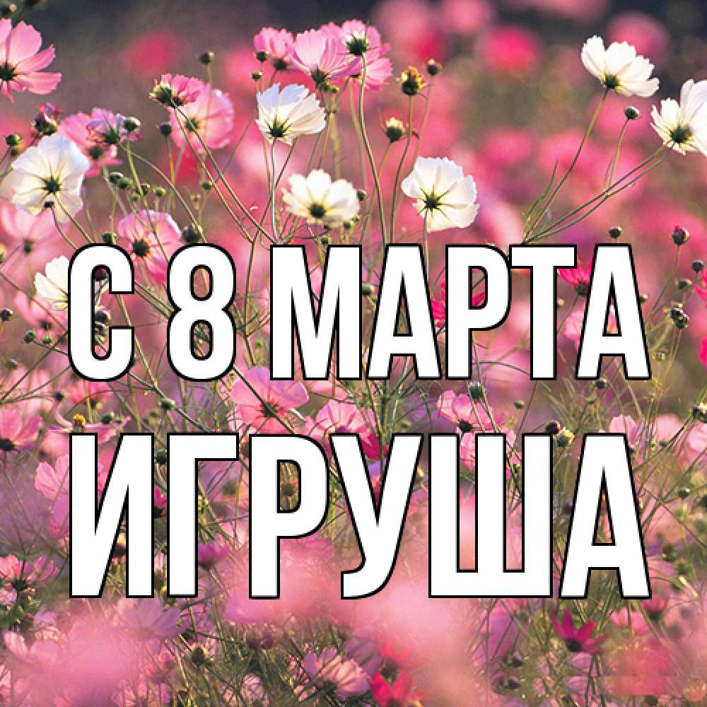 Открытка на каждый день с именем, Игруша C 8 МАРТА красиво 1 Прикольная открытка с пожеланием онлайн скачать бесплатно 