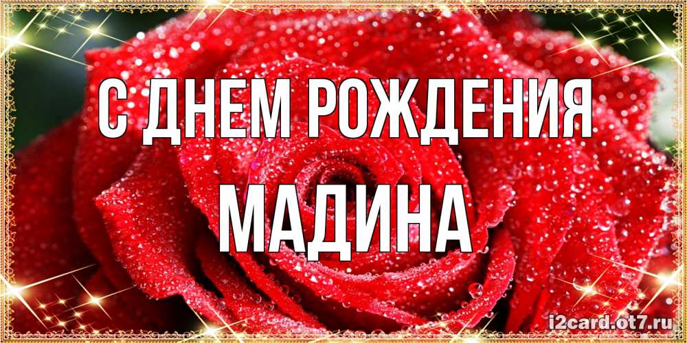 Открытка на каждый день с именем, Мадина С днем рождения роса и роза. открытка с красивой розой Прикольная открытка с пожеланием онлайн скачать бесплатно 