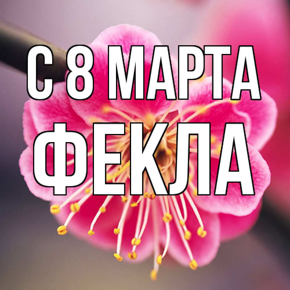 Открытка на каждый день с именем, Фекла C 8 МАРТА цветы Прикольная открытка с пожеланием онлайн скачать бесплатно 