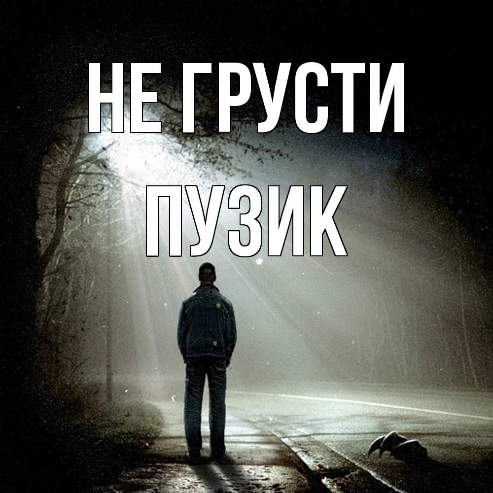 Открытка на каждый день с именем, Пузик Не грусти свет с неба в лесу Прикольная открытка с пожеланием онлайн скачать бесплатно 