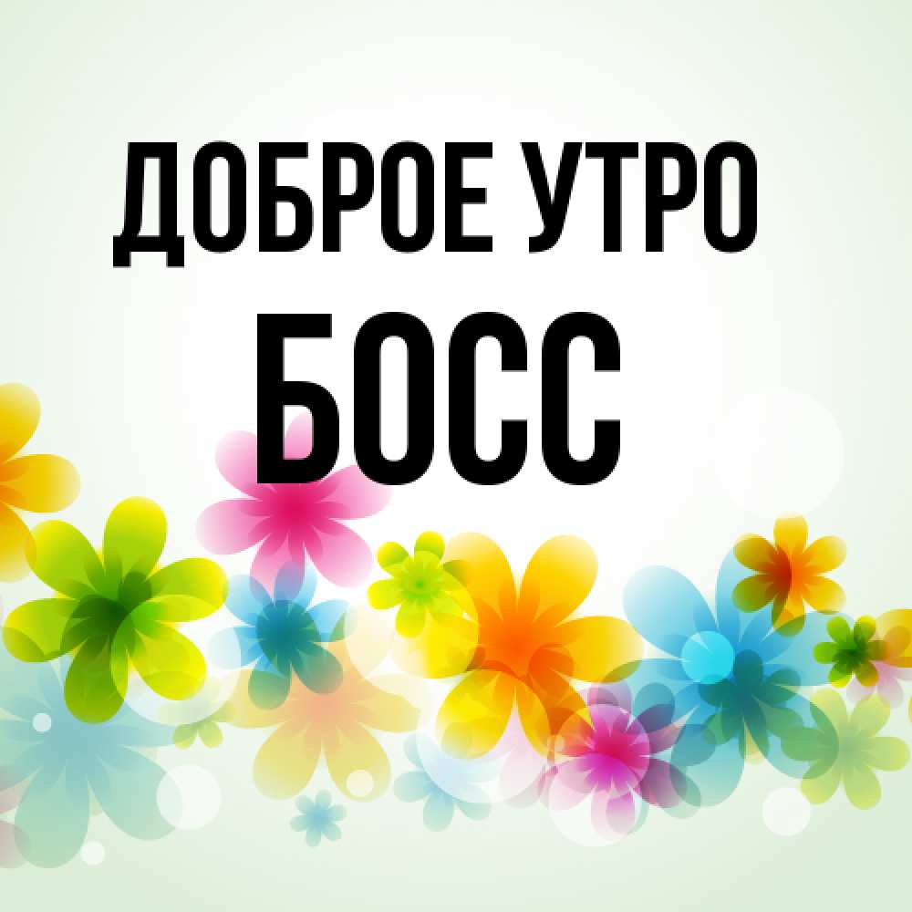 Открытка на каждый день с именем, Босс Доброе утро позитивные цветочки Прикольная открытка с пожеланием онлайн скачать бесплатно 