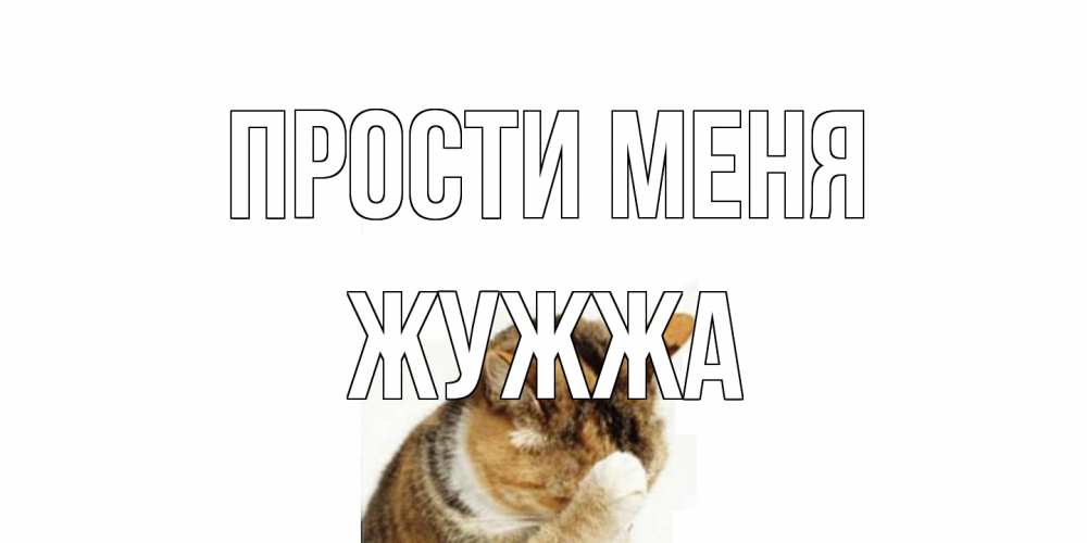 Открытка на каждый день с именем, Жужжа Прости меня кот Прикольная открытка с пожеланием онлайн скачать бесплатно 