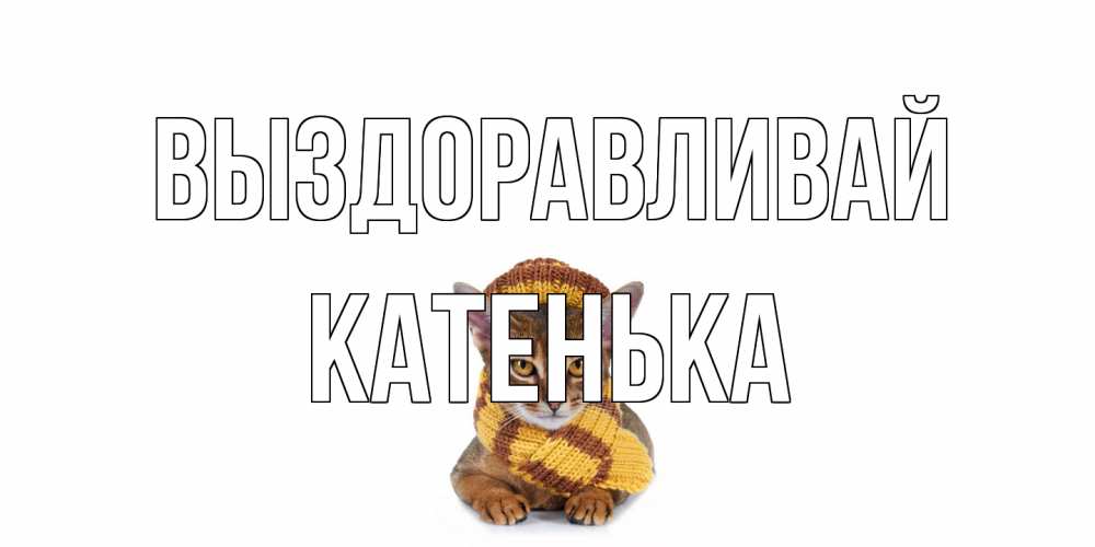 Открытка на каждый день с именем, Катенька Выздоравливай родные не болейте Прикольная открытка с пожеланием онлайн скачать бесплатно 