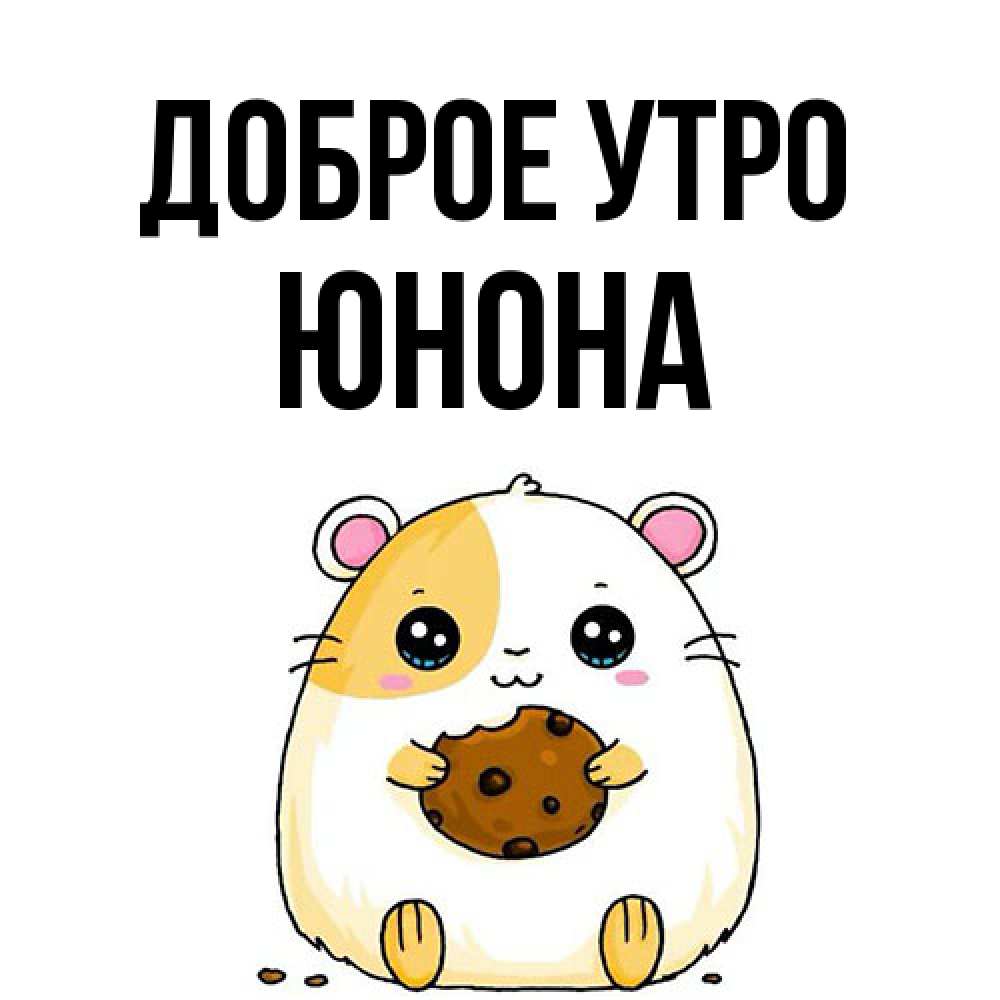 Открытка на каждый день с именем, Юнона Доброе утро есть печеньку. Утречко Прикольная открытка с пожеланием онлайн скачать бесплатно 