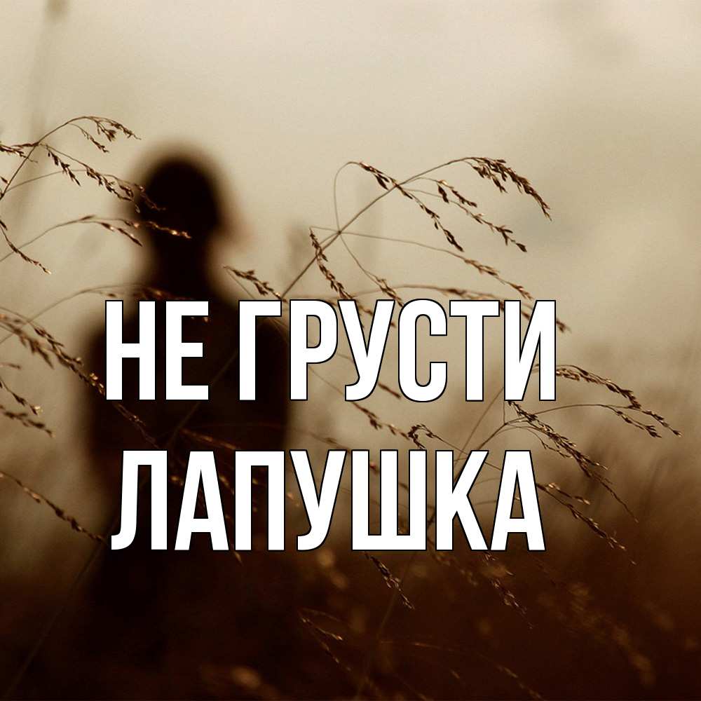 Открытка на каждый день с именем, лапушка Не грусти грусть Прикольная открытка с пожеланием онлайн скачать бесплатно 