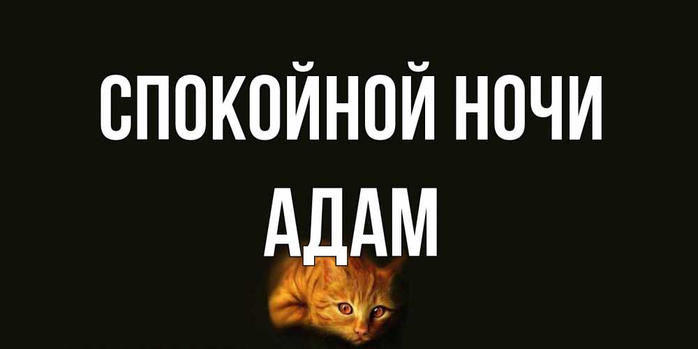 Открытка на каждый день с именем, Адам Спокойной ночи кот Прикольная открытка с пожеланием онлайн скачать бесплатно 