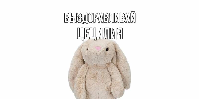 Картинка Выздоравливай, Цецилия