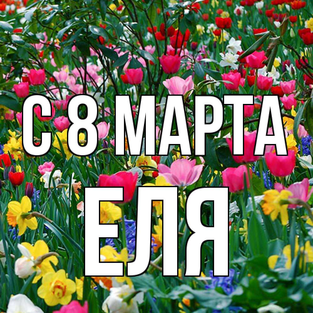 Открытка на каждый день с именем, Еля C 8 МАРТА с международным женским днем поздравления для женщины Прикольная открытка с пожеланием онлайн скачать бесплатно 