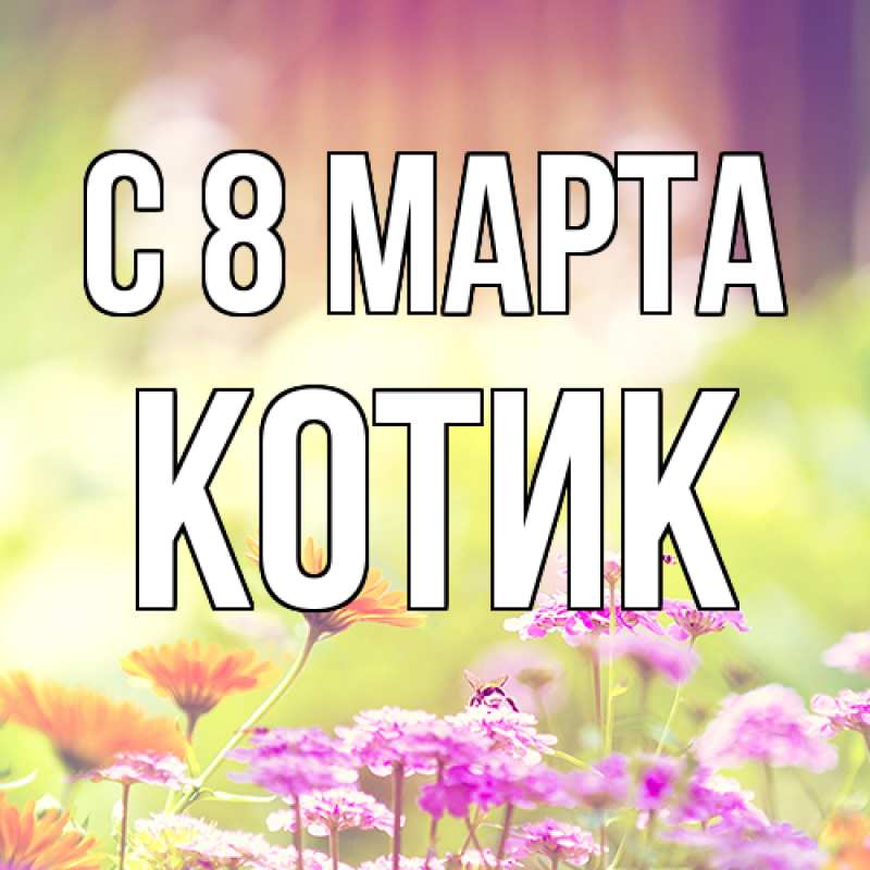 Картинка C 8 МАРТА, Котик