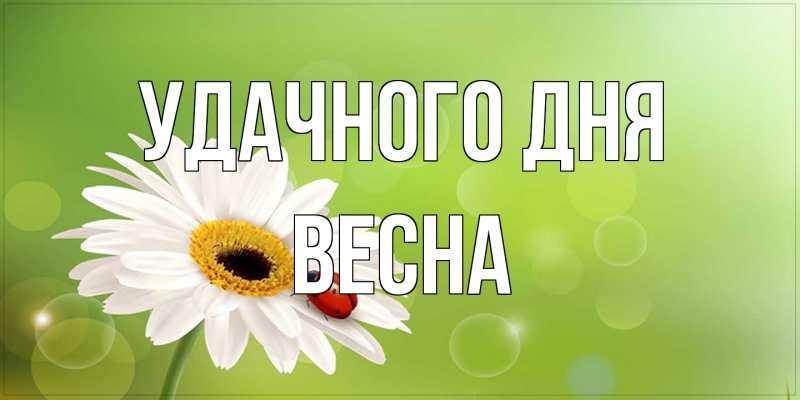 Открытка с именем, Весна, Удачного дня
