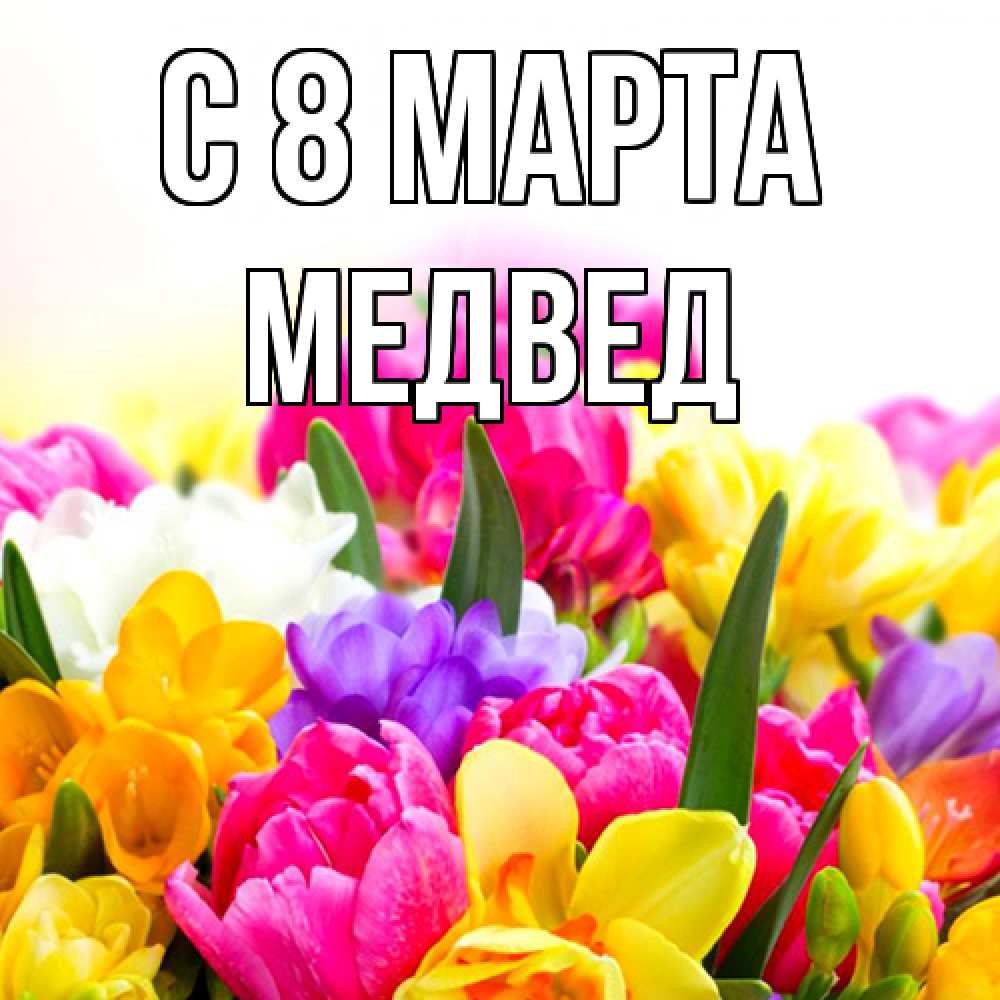 Открытка на каждый день с именем, Медвед C 8 МАРТА тюльпаны Прикольная открытка с пожеланием онлайн скачать бесплатно 