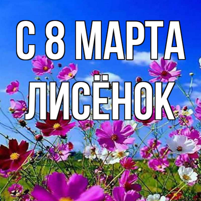 Картинка C 8 МАРТА, Лисёнок