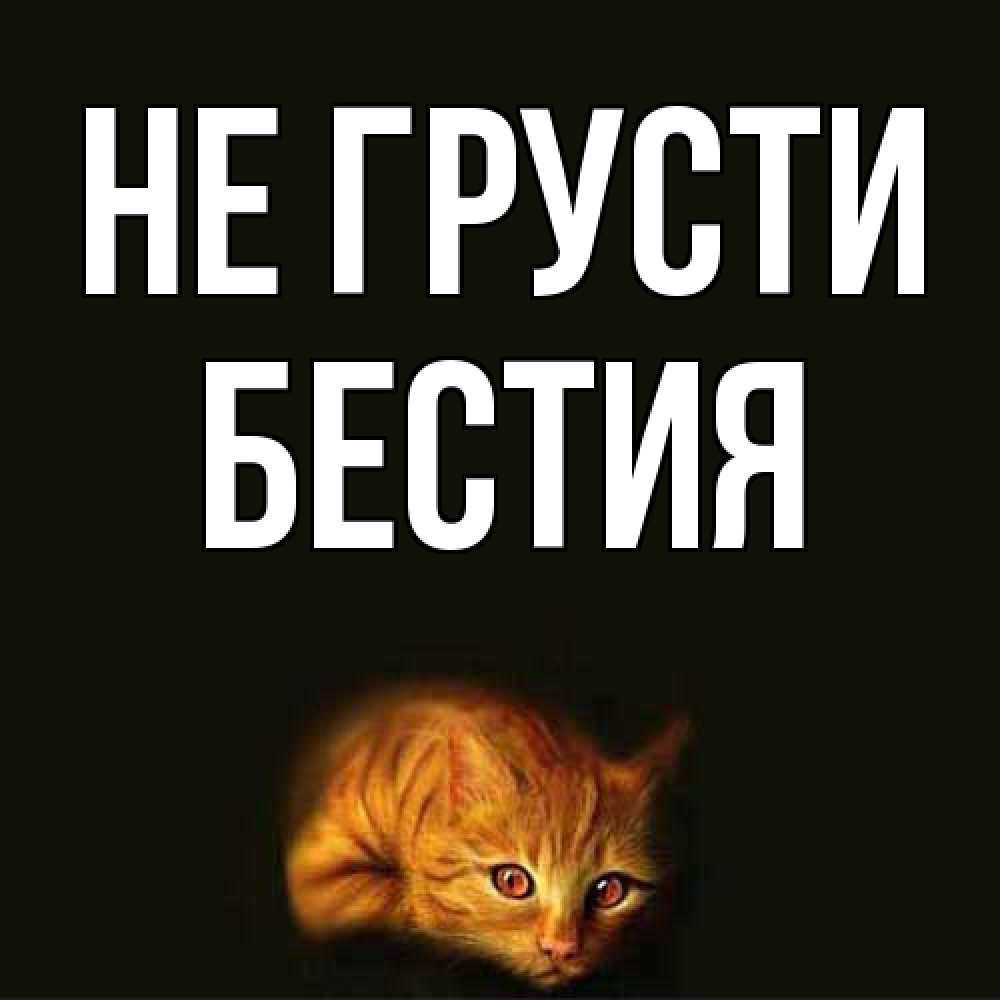 Открытка на каждый день с именем, Бестия Не грусти лежащий кот в темноте Прикольная открытка с пожеланием онлайн скачать бесплатно 