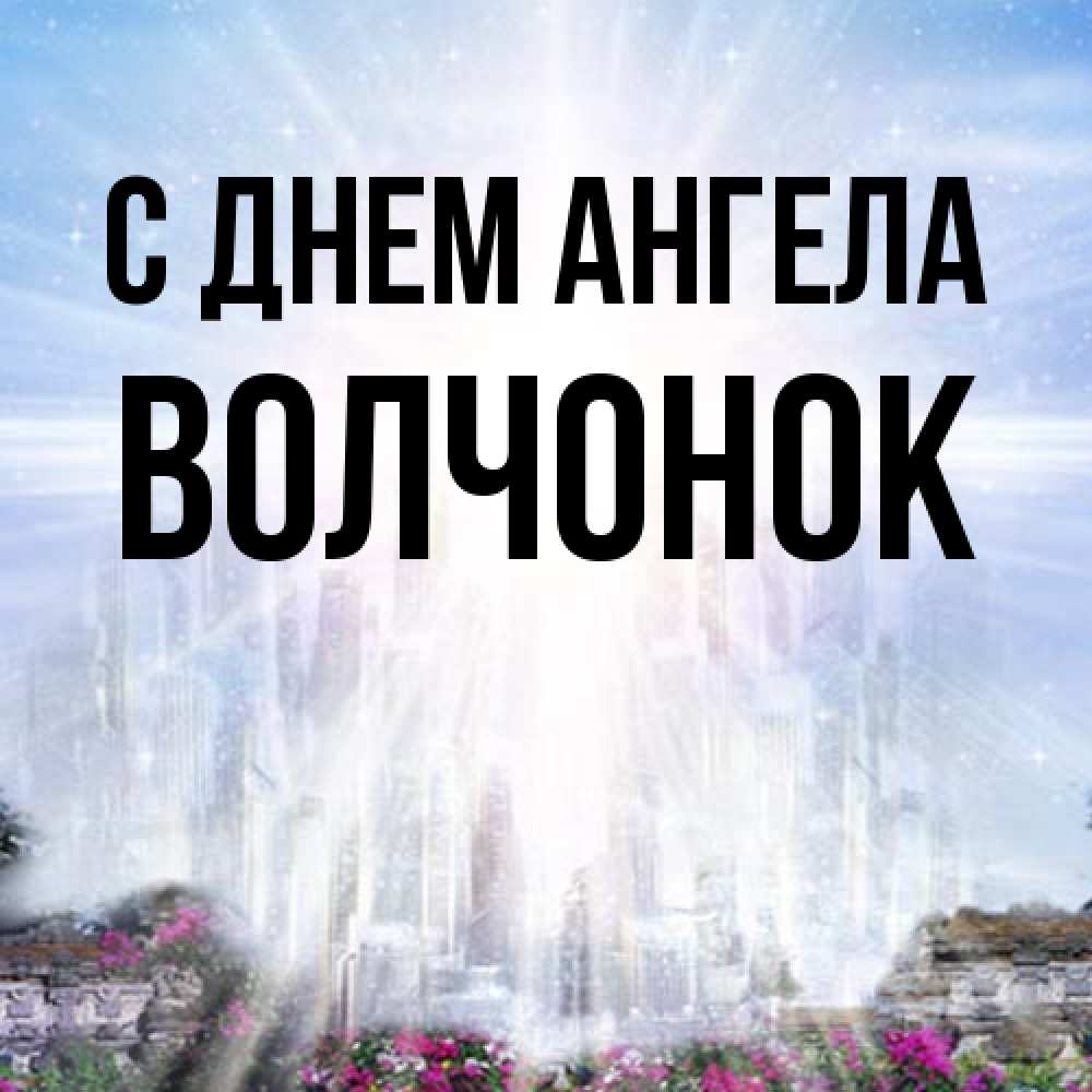 Открытка на каждый день с именем, Волчонок С днем ангела небесный свет Прикольная открытка с пожеланием онлайн скачать бесплатно 