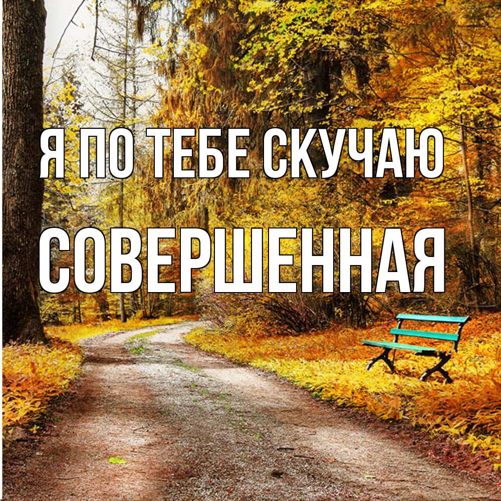 Открытка на каждый день с именем, Совершенная Я по тебе скучаю зеленая лавочка и осенний лес Прикольная открытка с пожеланием онлайн скачать бесплатно 