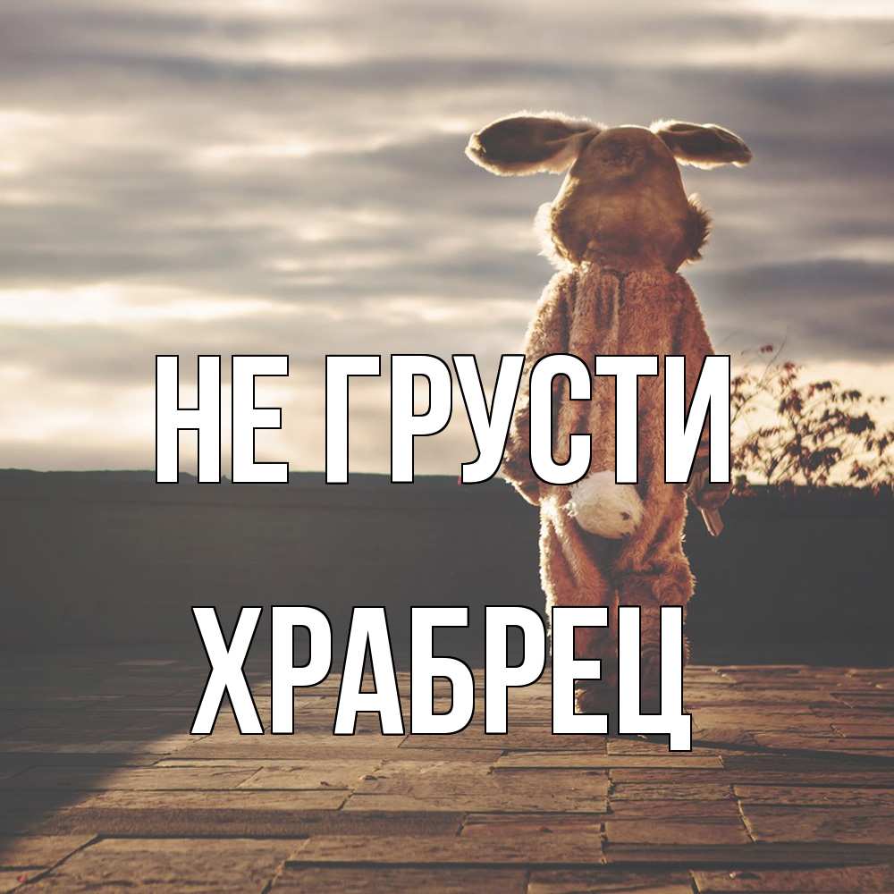 Открытка на каждый день с именем, Храбрец Не грусти со спины Прикольная открытка с пожеланием онлайн скачать бесплатно 