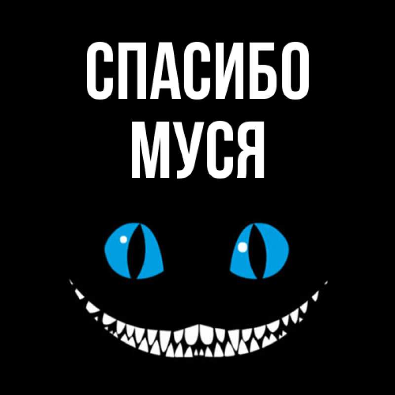 Картинка Спасибо, Муся