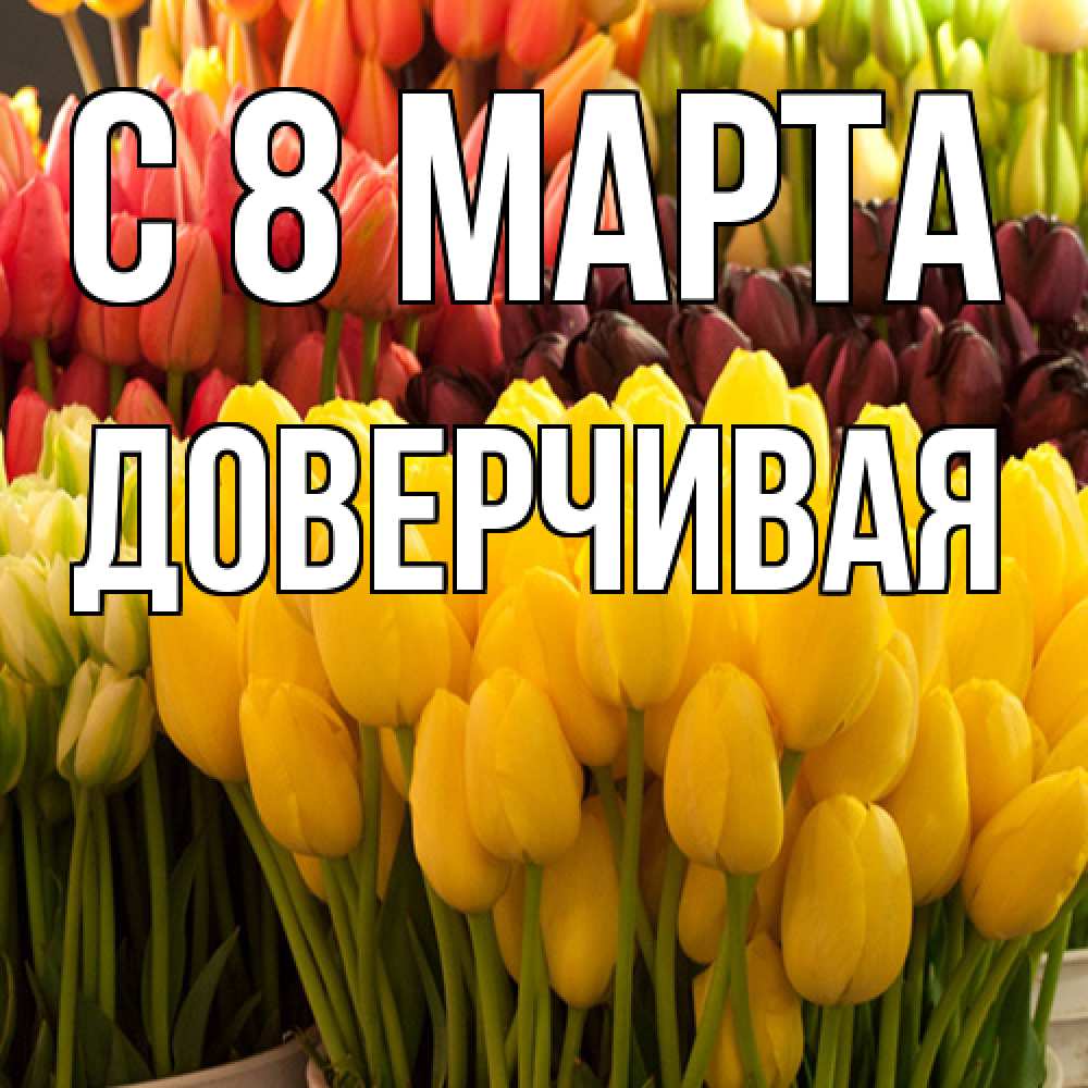 Открытка на каждый день с именем, Доверчивая C 8 МАРТА цветы Прикольная открытка с пожеланием онлайн скачать бесплатно 