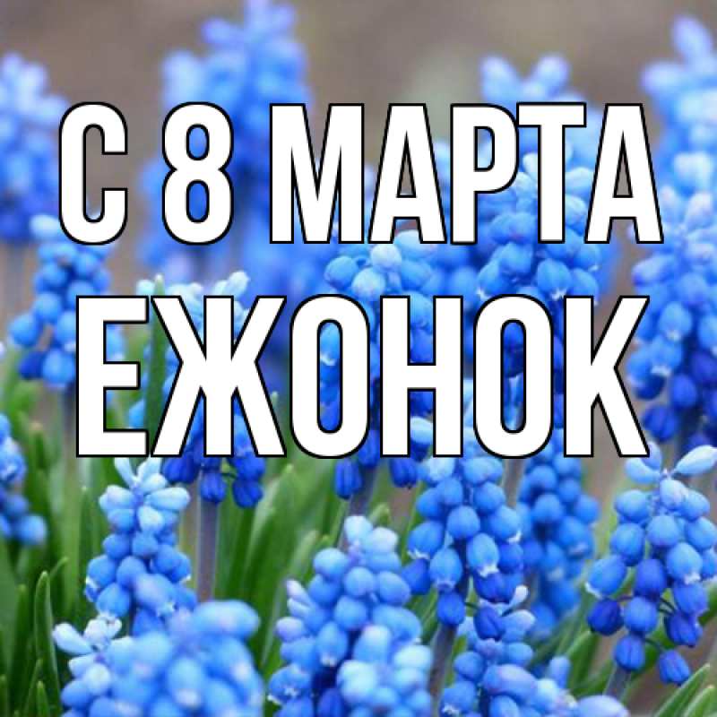 Картинка C 8 МАРТА, Ежонок