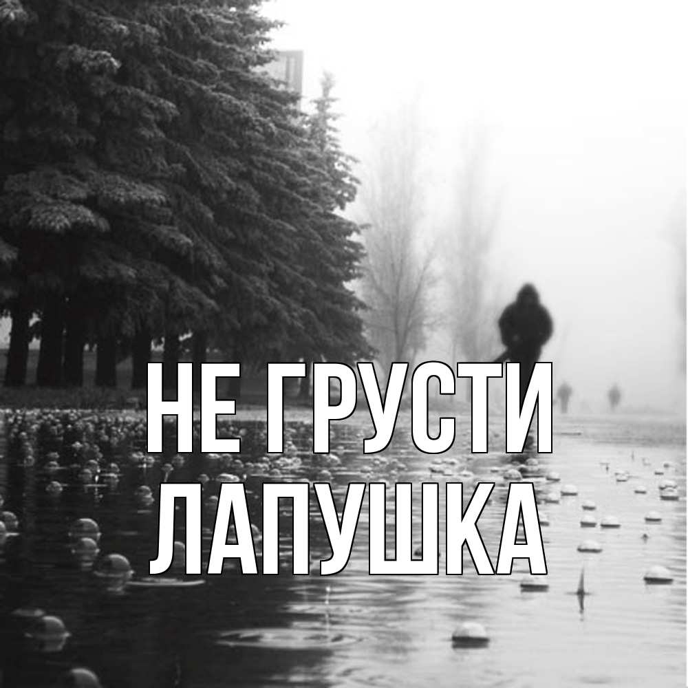 Открытка на каждый день с именем, лапушка Не грусти улица под дождем Прикольная открытка с пожеланием онлайн скачать бесплатно 