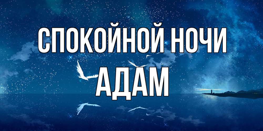 Открытка на каждый день с именем, Адам Спокойной ночи птицы летят на фоне ночного неба Прикольная открытка с пожеланием онлайн скачать бесплатно 