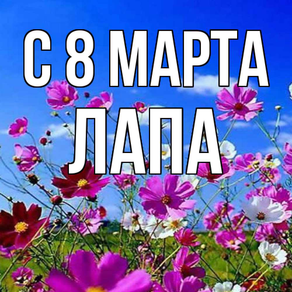 Открытка на каждый день с именем, Лапа C 8 МАРТА цветы Прикольная открытка с пожеланием онлайн скачать бесплатно 