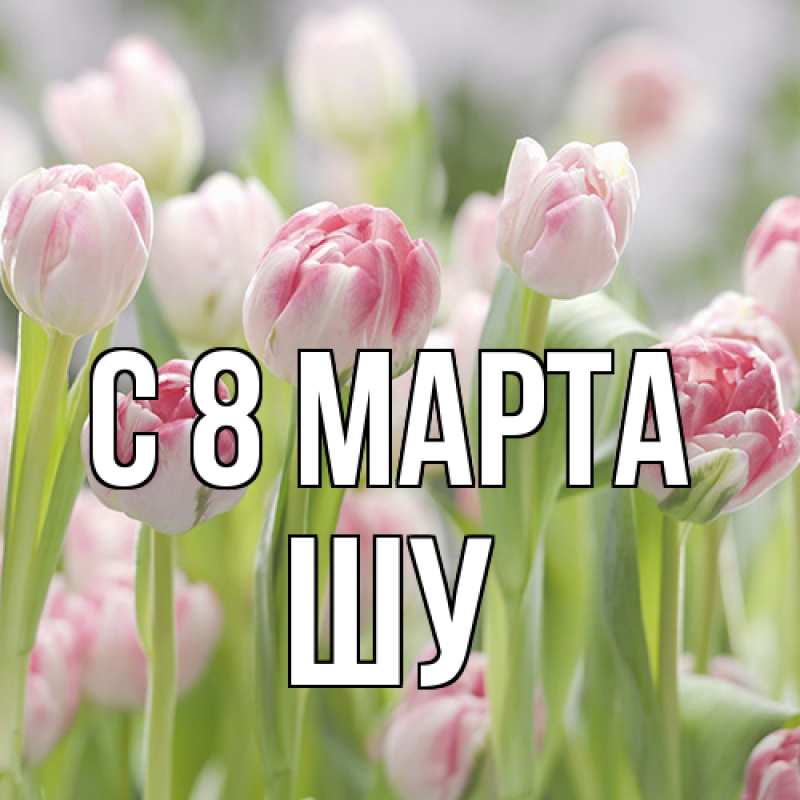 Картинка C 8 МАРТА, Шу