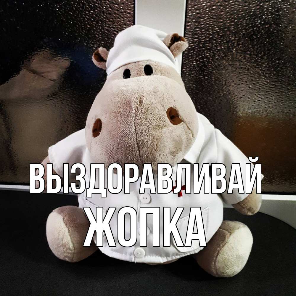 Открытка на каждый день с именем, Жопка Выздоравливай всех излечит исцелит Прикольная открытка с пожеланием онлайн скачать бесплатно 