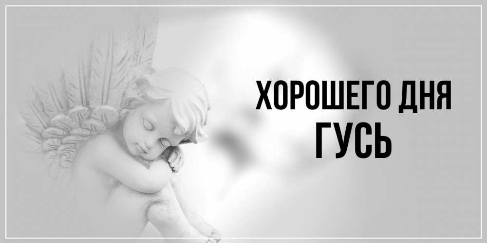 Открытка на каждый день с именем, Гусь Хорошего дня ангел Прикольная открытка с пожеланием онлайн скачать бесплатно 