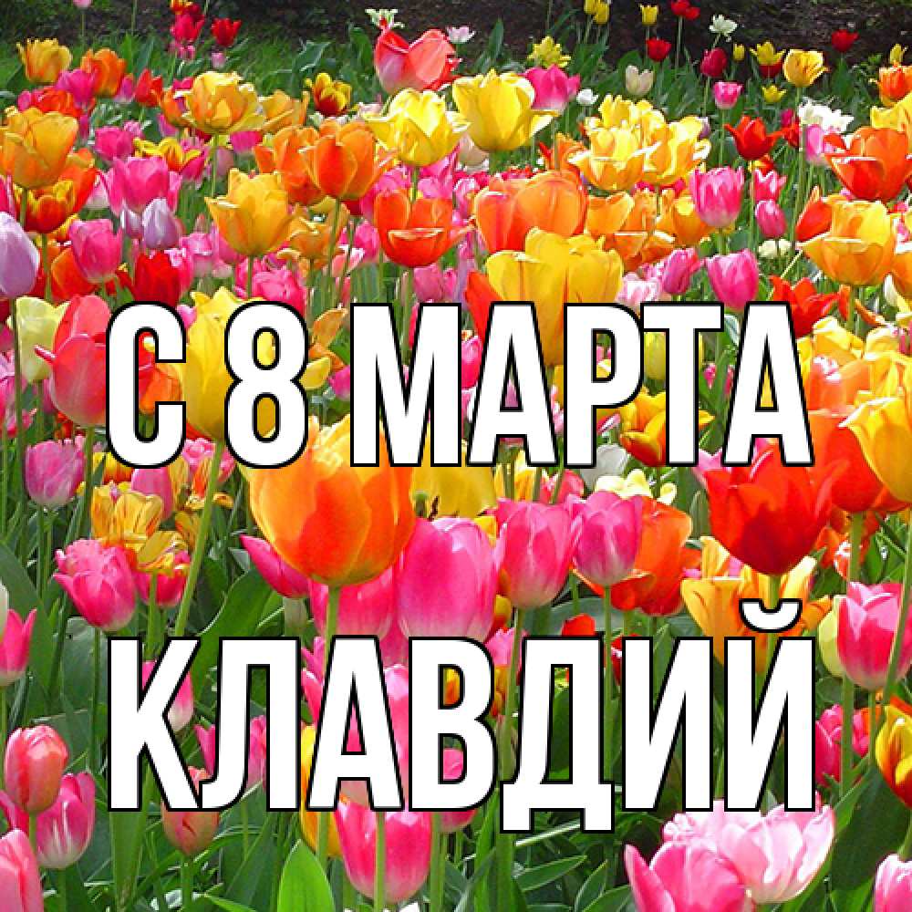Открытка на каждый день с именем, Клавдий C 8 МАРТА на международный женский день Прикольная открытка с пожеланием онлайн скачать бесплатно 