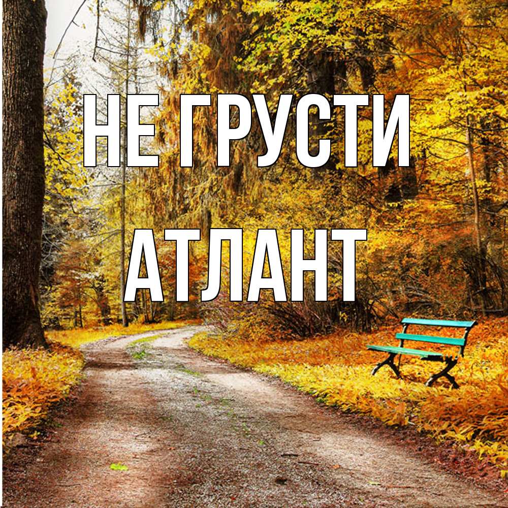 Открытка на каждый день с именем, Атлант Не грусти зеленая лавочка Прикольная открытка с пожеланием онлайн скачать бесплатно 