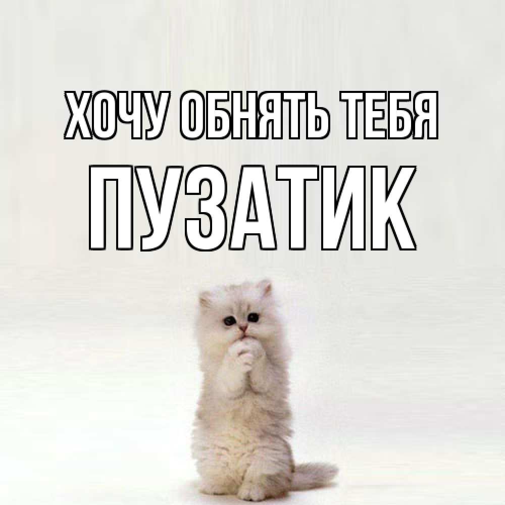 Открытка на каждый день с именем, Пузатик Хочу обнять тебя открытки с креативными подписями Прикольная открытка с пожеланием онлайн скачать бесплатно 
