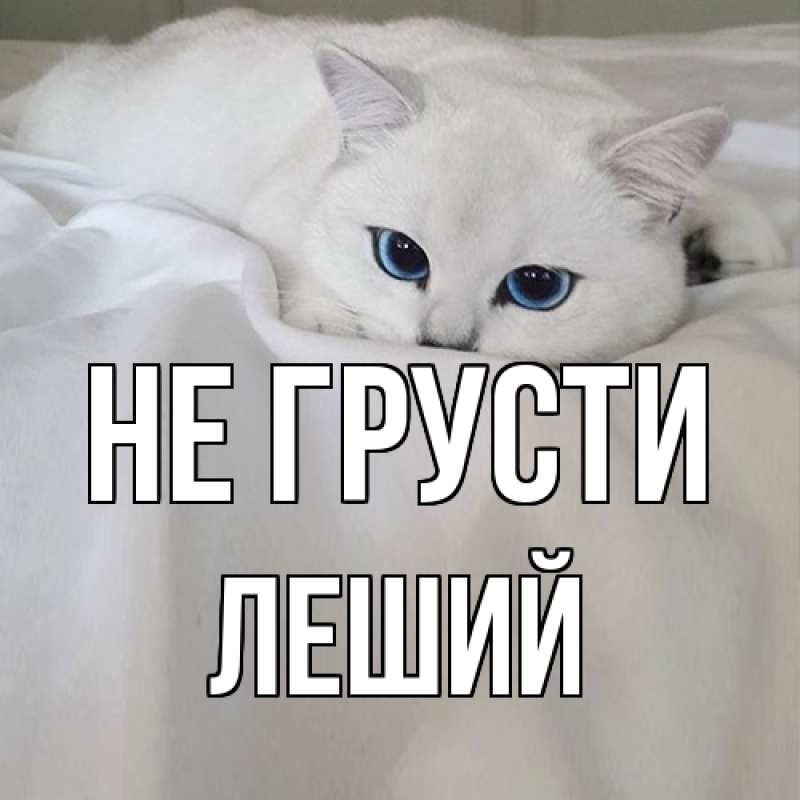 Картинка Не грусти, Леший