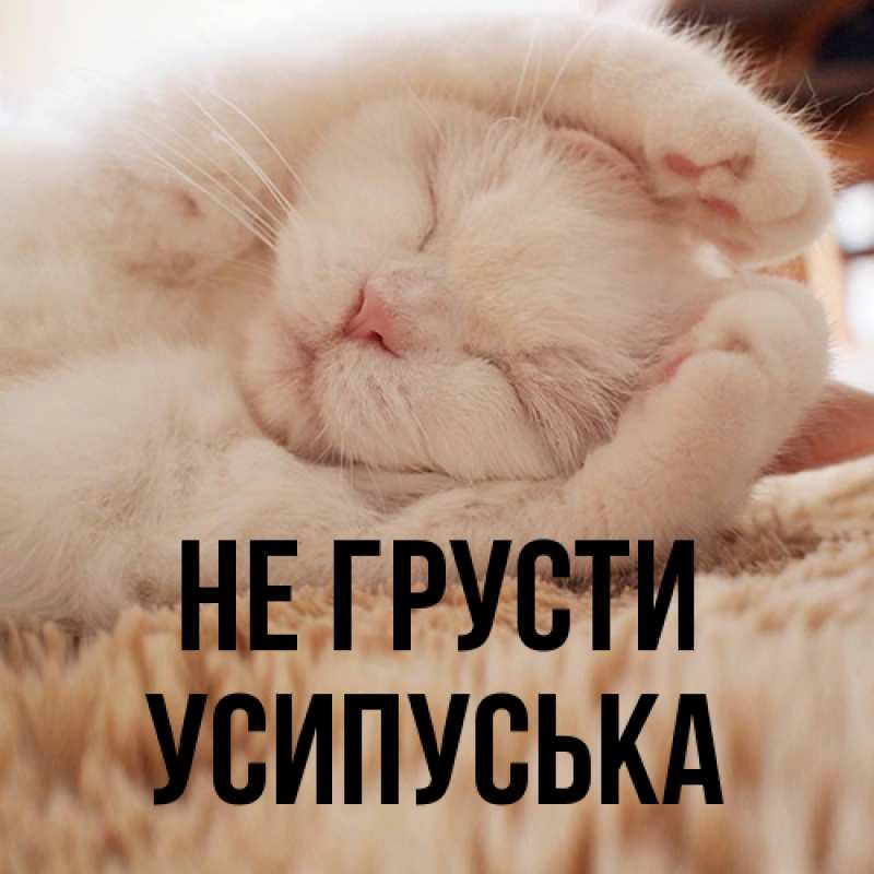 Картинка Не грусти, усипуська