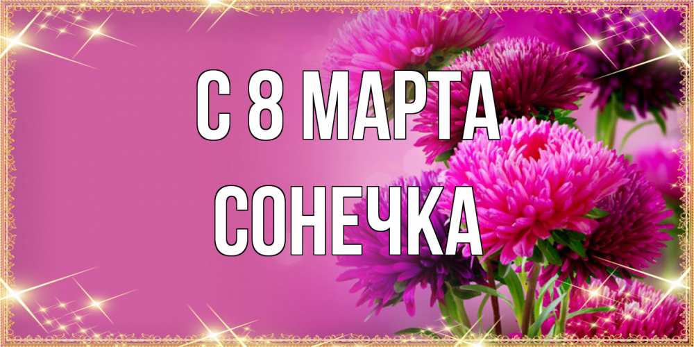 Открытка на каждый день с именем, Сонечка C 8 МАРТА садовые цветы на 8 марта Прикольная открытка с пожеланием онлайн скачать бесплатно 