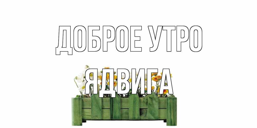 Открытка на каждый день с именем, Ядвига Доброе утро цветы Прикольная открытка с пожеланием онлайн скачать бесплатно 