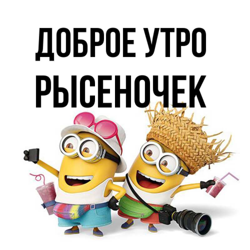 Картинка Доброе утро, Рысеночек