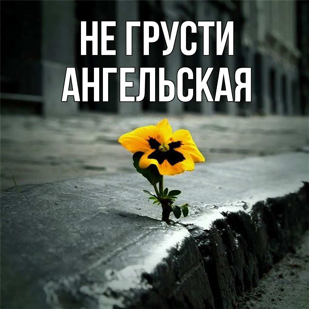 Открытка на каждый день с именем, Ангельская Не грусти не сдавайся Прикольная открытка с пожеланием онлайн скачать бесплатно 