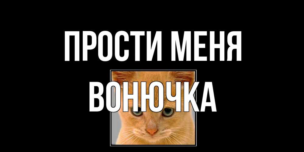 Открытка на каждый день с именем, Вонючка Прости меня рыжий грустный кот просит прощения Прикольная открытка с пожеланием онлайн скачать бесплатно 
