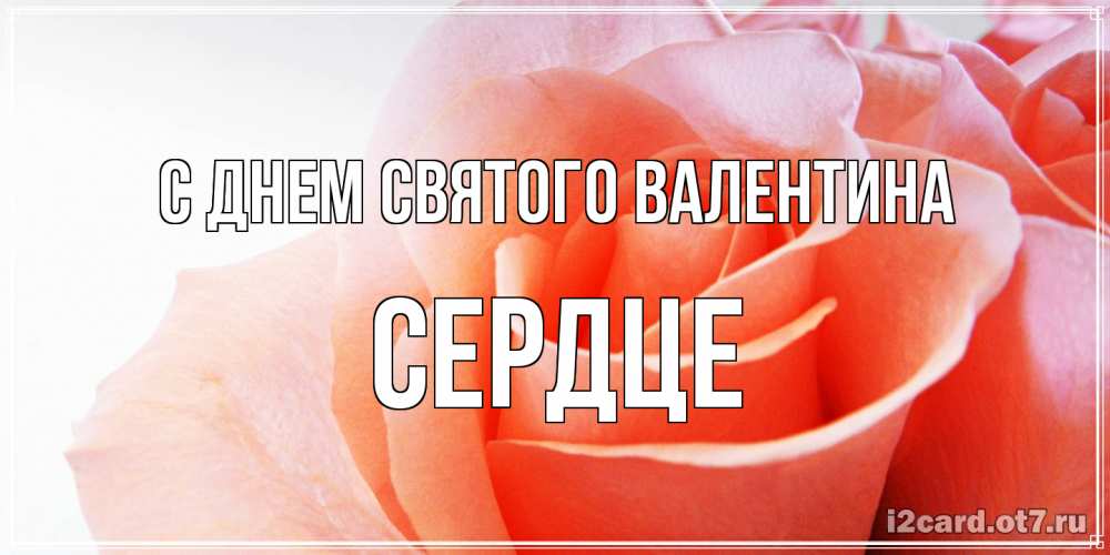Открытка на каждый день с именем, сердце С днем Святого Валентина открытка на день Святого Валентина с розовой розой Прикольная открытка с пожеланием онлайн скачать бесплатно 