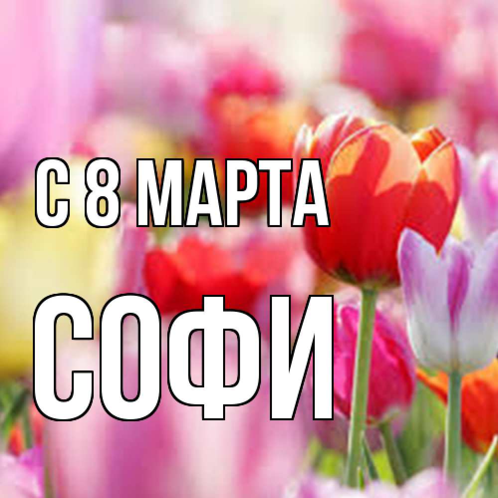 Открытка на каждый день с именем, Софи C 8 МАРТА на международный женский день 2 Прикольная открытка с пожеланием онлайн скачать бесплатно 