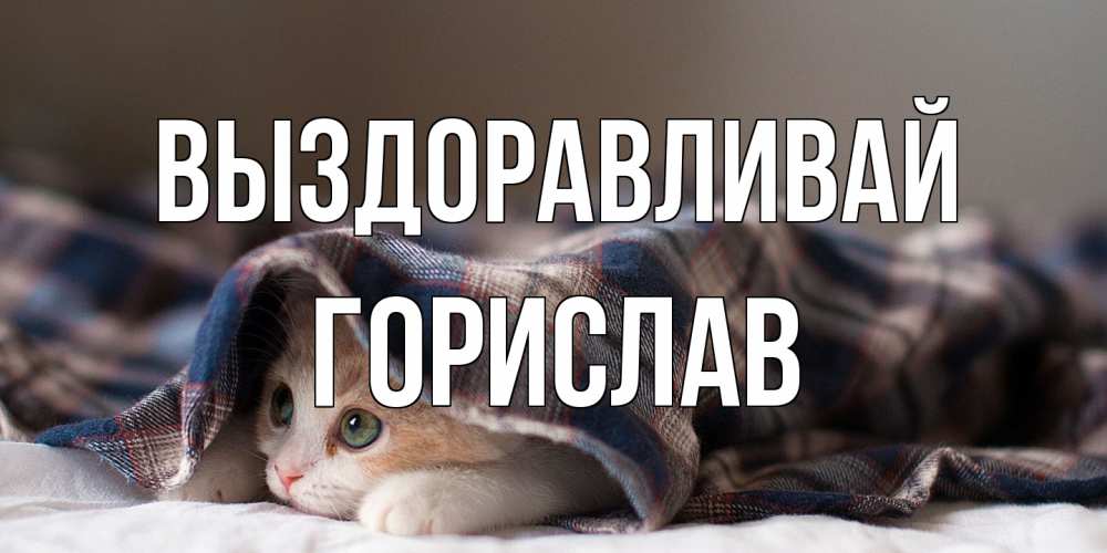 Открытка на каждый день с именем, Горислав Выздоравливай не болейте с котиком Прикольная открытка с пожеланием онлайн скачать бесплатно 