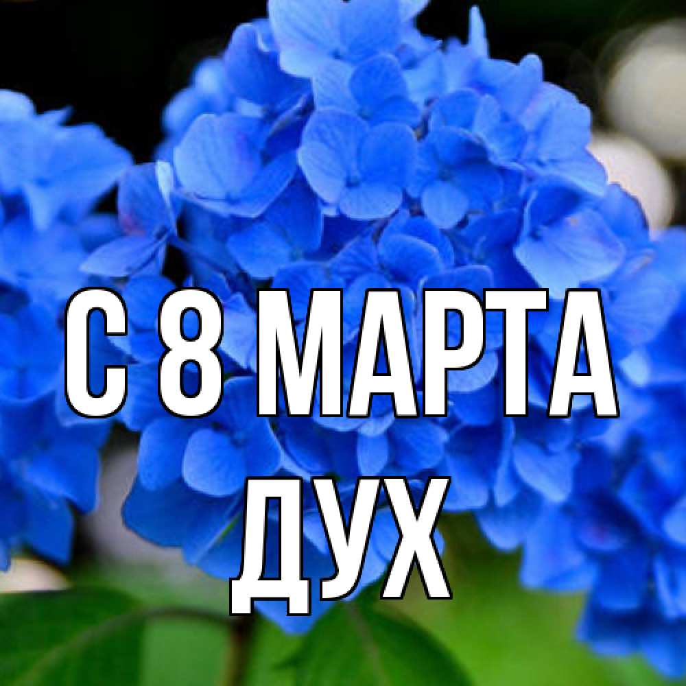 Открытка на каждый день с именем, Дух C 8 МАРТА синие цветы Прикольная открытка с пожеланием онлайн скачать бесплатно 