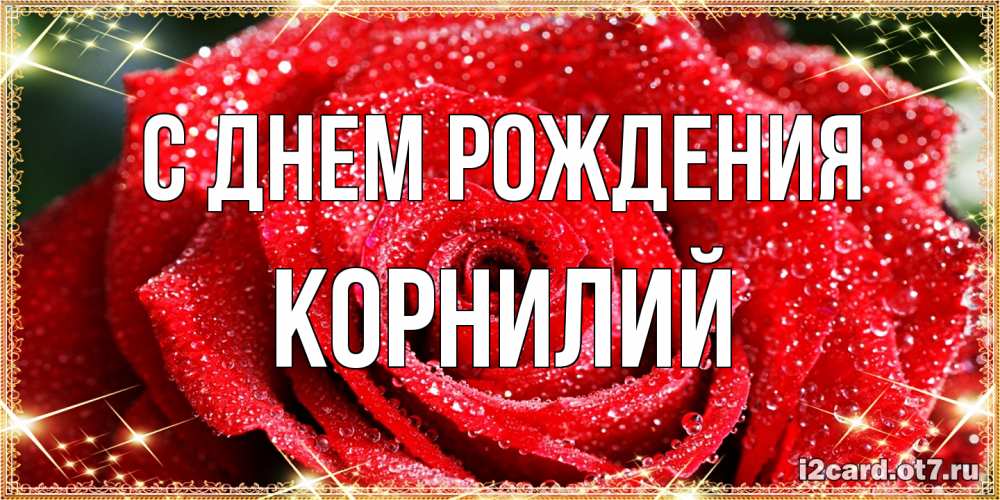 Открытка на каждый день с именем, Корнилий С днем рождения роса и роза. открытка с красивой розой Прикольная открытка с пожеланием онлайн скачать бесплатно 