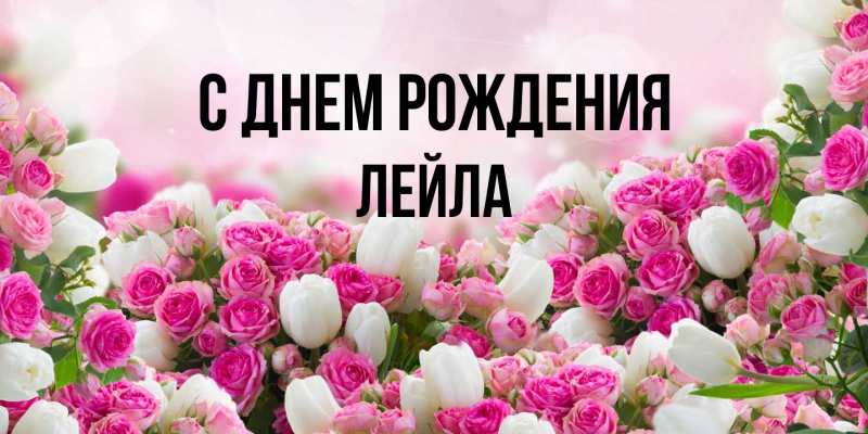Картинка С днем рождения, Лейла