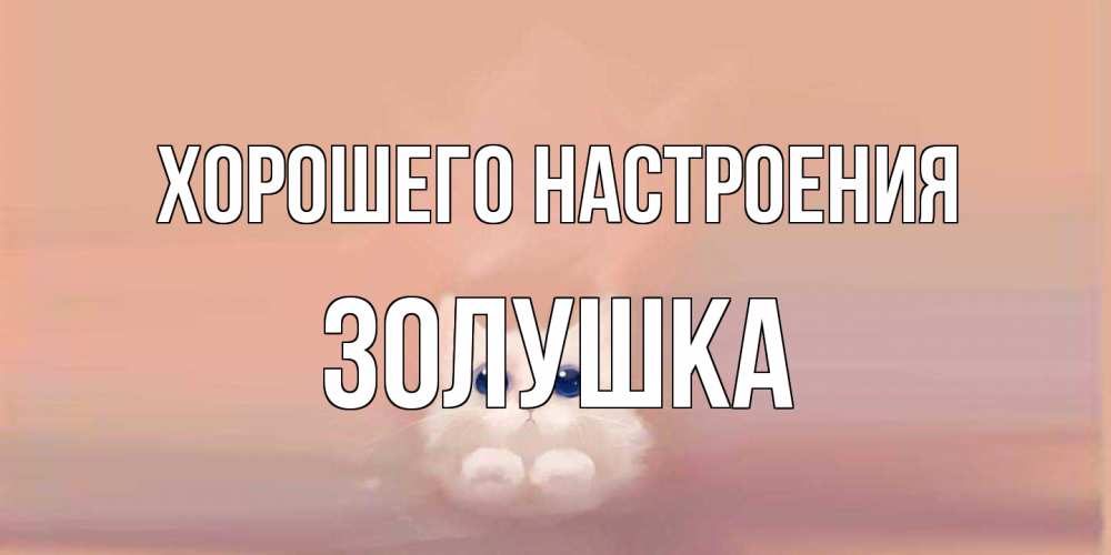 Открытка на каждый день с именем, Золушка Хорошего настроения кошка Прикольная открытка с пожеланием онлайн скачать бесплатно 