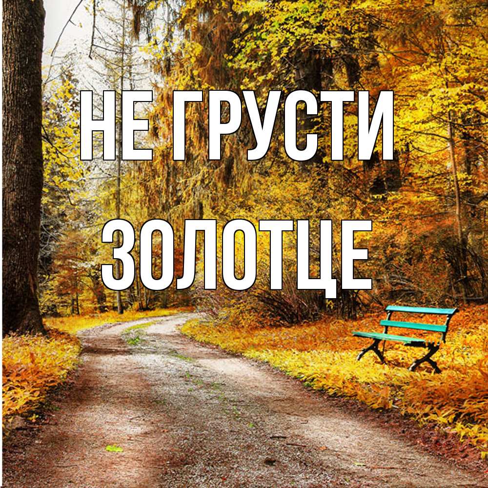 Открытка на каждый день с именем, Золотце Не грусти зеленая лавочка Прикольная открытка с пожеланием онлайн скачать бесплатно 