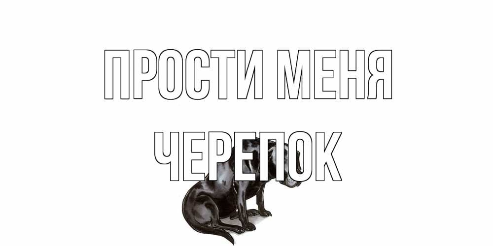 Открытка на каждый день с именем, Черепок Прости меня грустная собака на открытке с подписью прости меня Прикольная открытка с пожеланием онлайн скачать бесплатно 